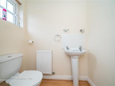 Picture 13